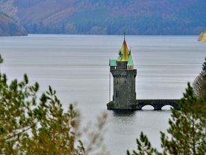 Supporting image for story: Road closure near Lake Vyrnwy to remove trees damaged by Storm Arwen