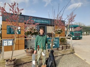 Trees were donated by Frank P. Matthews and Incredible Edible