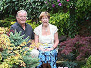 Supporting image for story: Late bursts of colour