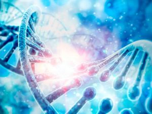 Supporting image for story: Scientists identify 15 genes that determine our facial features