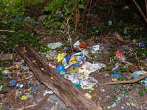 Supporting image for story: Clean-up call on pupils' route