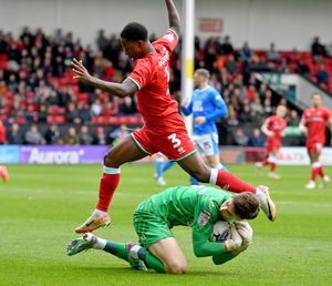 Supporting image for story