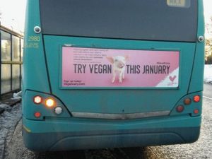 Supporting image for story: Shropshire councillor demands that Veganuary bus adverts should be removed