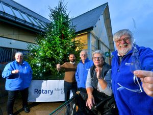 Supporting image for story: Town's Tree of Light will shine more brightly this year thanks to icicles created by schoolchildren