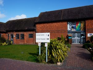 Supporting image for story: Animal welfare standards in West Midlands could be 'undermined by Australia trade deal'