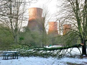 Supporting image for story: Snow damage will cost thousands in Ironbridge Gorge