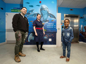 Supporting image for story: Vivid mural helps bring colourful welcome to children's ward