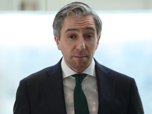 Supporting image for story: Irish deputy premier criticises fuel price ‘anomalies’