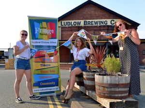Supporting image for story: Ludlow Fringe Festival taking place online this year