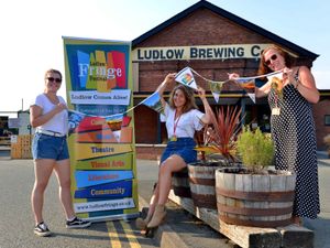 Supporting image for story: Ludlow Fringe Festival taking place online this year