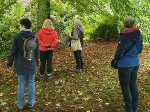 Supporting image for story: Mindfulness sessions at county park