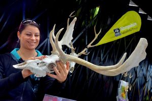 Gemma Young with a Shropshire Wildlife Trust display