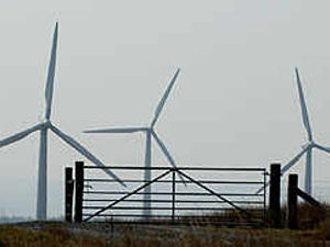 Supporting image for story: Wind farm campaigners double effort