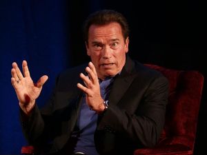 Supporting image for story