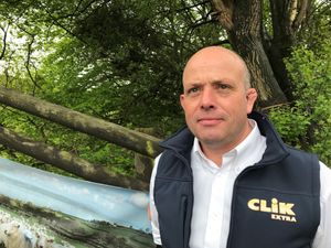 Supporting image for story: Waiting to treat flystrike leads to major performance impacts
