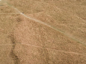 Supporting image for story: Crisis talks being held as farmers continue to feel the heat 