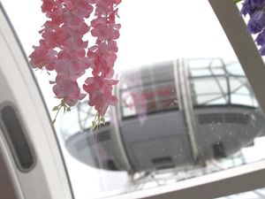 Supporting image for story: London Eye’s flower capsule will be Instagram gold for lucky few