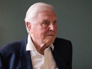 Supporting image for story: Sir David Attenborough breaks record as oldest Daytime Emmy winner at 99