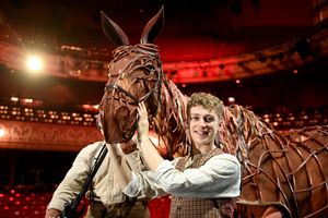 Joey the horse on stage with Albert, played by Tom Sturgess.