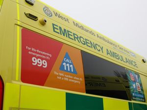 Supporting image for story: Woman, 62, dies in farm accident  