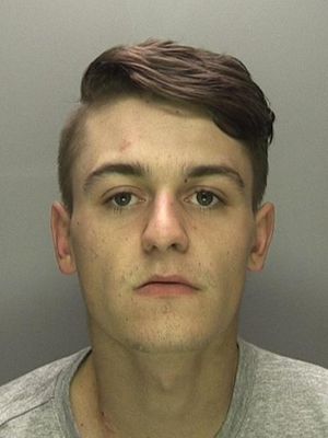 Supporting image for story