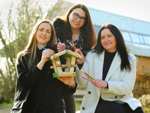 Supporting image for story: Migrant bird boxes created in new Black Country art project
