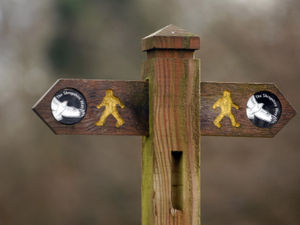 Supporting image for story: Walkers' pictures of stunning Shropshire could make calendar