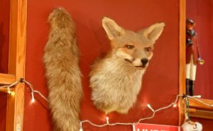 Reminders of the name of the pub can be seen everywhere