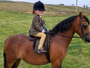 Supporting image for story: Sheep dog trials, cross country racing and a spudtacular – all at a Builth Wells show