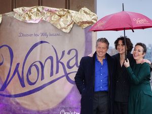 Supporting image for story: Wonka named biggest home entertainment movie of 2024 in UK