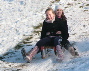 Sledging - Harold Broadbent