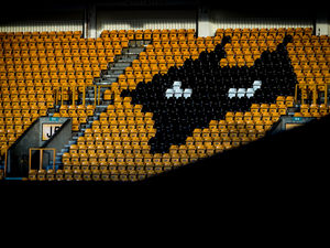 Supporting image for story: Wolves look to extend
capacity at Molineux
