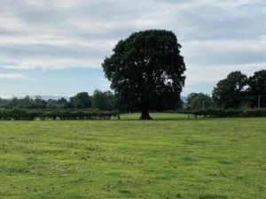 Supporting image for story: Village houses plan backed for approval - with half set to be made affordable