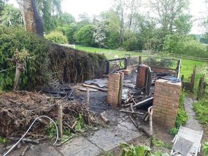 Supporting image for story: Bonfire spreads to shed and hedge sparking warning from fire service