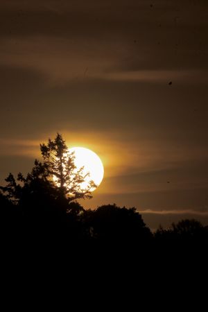 The sun makes a brief appearance over Ellesmere photo Sue Austin