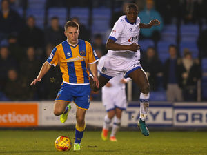 Supporting image for story: Shrewsbury Town sign midfielder Bryn Morris on two-year deal