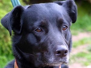 Supporting image for story: Peter Rhodes: Boom time at the Bank of Mum and Dad