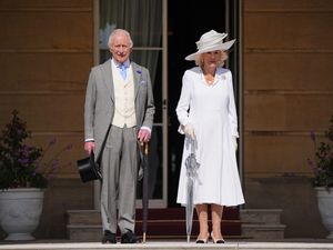 Supporting image for story: King meets social influencer teacher dubbed the ‘pied piper’ at garden party