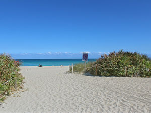 Supporting image for story: Sunshine and celebs in downtown Miami