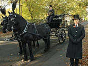 Supporting image for story: Horse-drawn hearses return