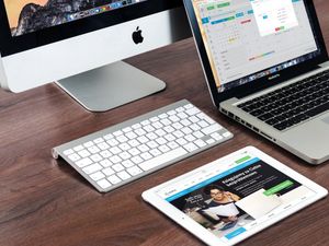 Supporting image for story: Free digital advice on offer for small businesses