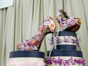 Supporting image for story: 12 blooming beautiful pictures from Shrewsbury Flower Show Day 2 