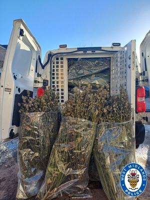 More than 50 plants were seized from the property in Rowood Drive, Solihull on November 18