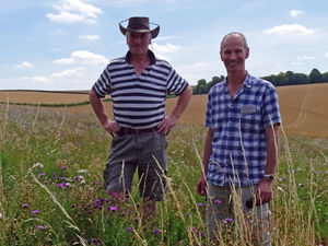 Supporting image for story: Making room for pollinators need not harm farm productivity