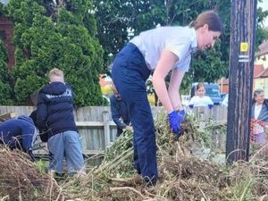 Supporting image for story: 'Dead chicks everywhere': Councillor calls for investigation after contractors cut down 'dangerous' tree