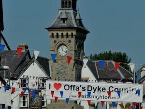 Supporting image for story: Quotes being sought to make Knighton look blooming beautiful this year