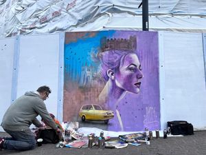 Supporting image for story: Art project adds real colour to Tamworth town centre 