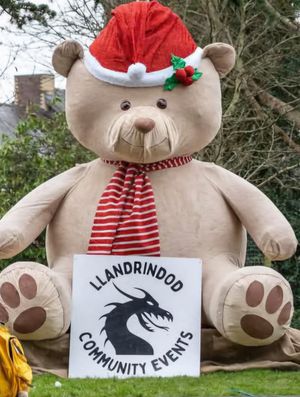 Supporting image for story: Llandrindod Community Events thanks everyone for help in 2024 as they look forward to this year