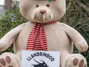 Supporting image for story: Llandrindod Community Events thanks everyone for help in 2024 as they look forward to this year
