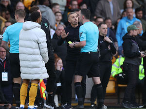 Supporting image for story: Wolves boss contacted by FA over referee comments